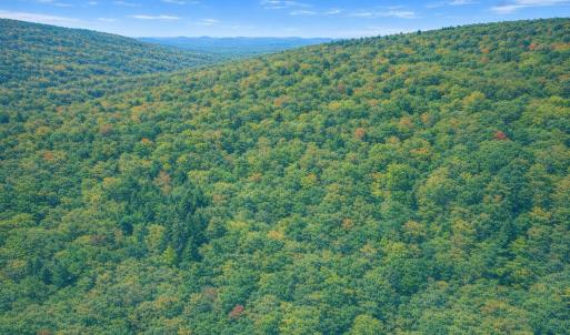Photo #5 of LOT 168 FOREST RIDGE TRL, FORT VALLEY, VA 0.7 acres