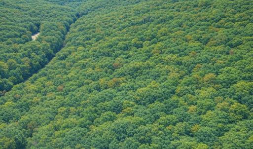Photo #4 of LOT 170 FOREST RIDGE TRL, FORT VALLEY, VA 0.9 acres