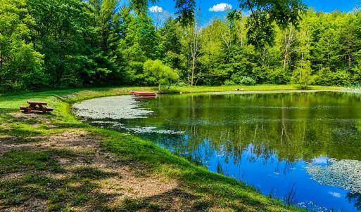 Photo #9 of LOT 170 FOREST RIDGE TRL, FORT VALLEY, VA 0.9 acres
