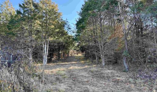 Photo #12 of HARPER VALLEY RD, LURAY, VA 4.8 acres