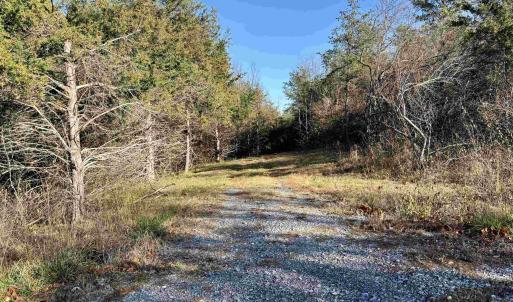 Photo #6 of HARPER VALLEY RD, LURAY, VA 4.8 acres