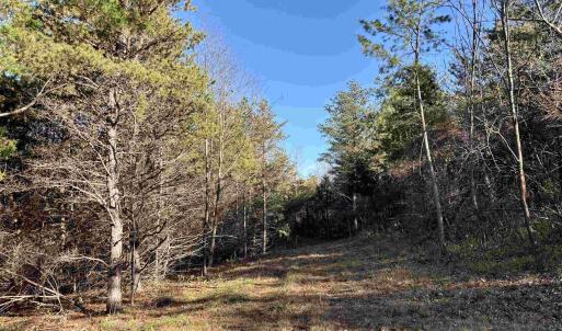 Photo #7 of HARPER VALLEY RD, LURAY, VA 4.8 acres