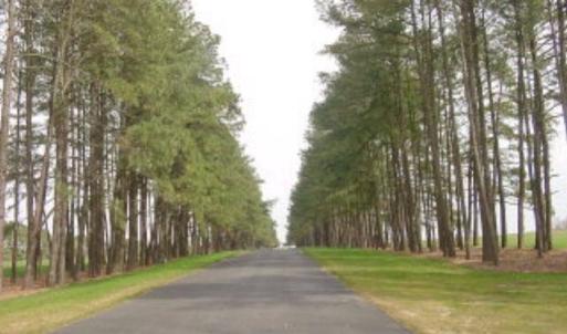 Photo #2 of Lot 42 CORBIN HALL LN, HORNTOWN, VA 3.0 acres