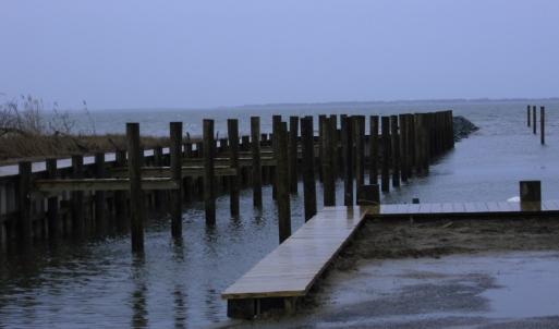 Photo #5 of Lot 42 CORBIN HALL LN, HORNTOWN, VA 3.0 acres