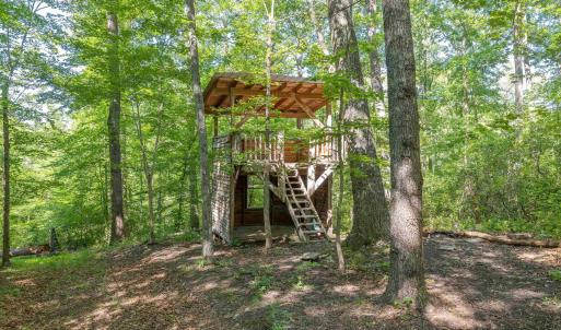 Photo #7 of 7676 OLD DOMINION RD, SCHUYLER, VA 40.3 acres