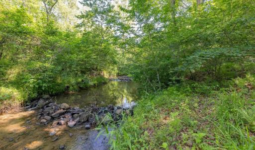 Photo #9 of 7676 OLD DOMINION RD, SCHUYLER, VA 40.3 acres