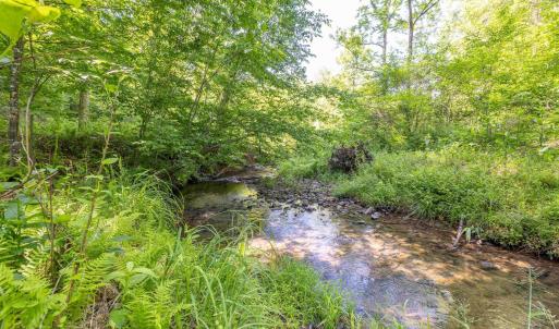 Photo #10 of 7676 OLD DOMINION RD, SCHUYLER, VA 40.3 acres