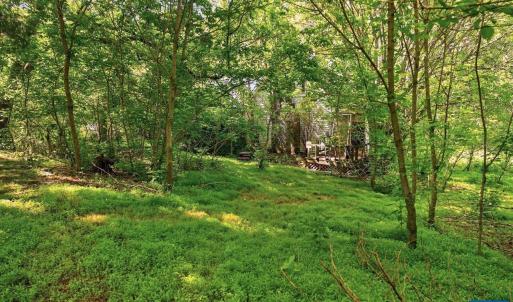Photo #18 of 258 STRICKLER LN, NEW MARKET, VA 1.7 acres