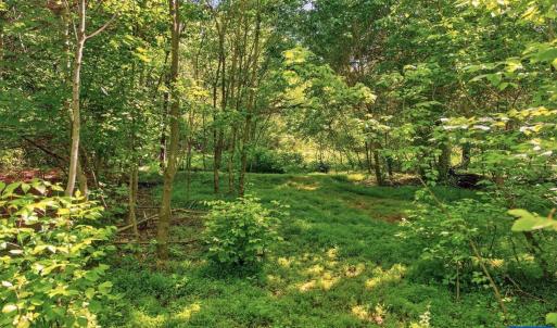 Photo #22 of 258 STRICKLER LN, NEW MARKET, VA 1.7 acres