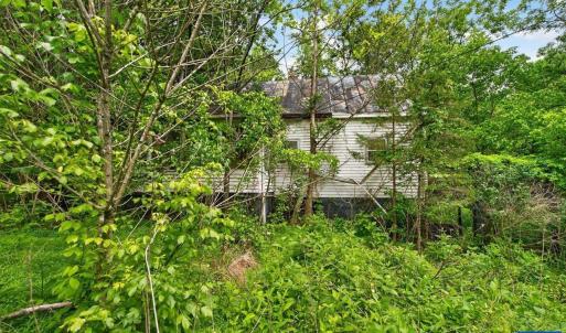 Photo #7 of 258 STRICKLER LN, NEW MARKET, VA 1.7 acres