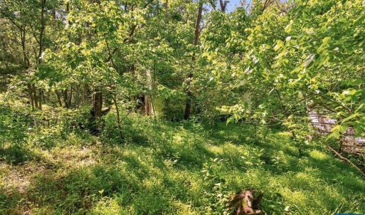 Photo #20 of 258 STRICKLER LN, NEW MARKET, VA 1.7 acres