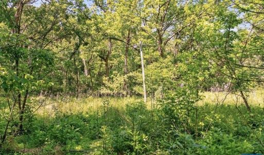Photo #21 of 258 STRICKLER LN, NEW MARKET, VA 1.7 acres