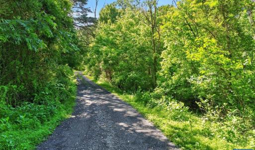 Photo #15 of 258 STRICKLER LN, NEW MARKET, VA 1.7 acres