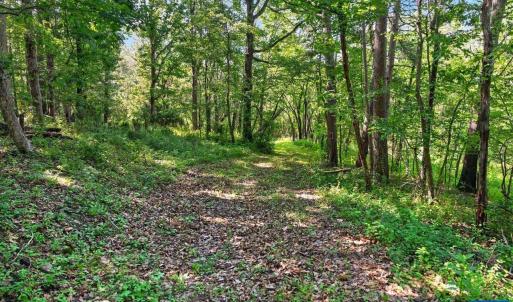 Photo #16 of 258 STRICKLER LN, NEW MARKET, VA 1.7 acres