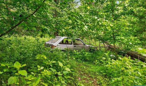 Photo #23 of 258 STRICKLER LN, NEW MARKET, VA 1.7 acres