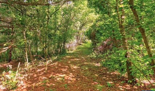 Photo #19 of 258 STRICKLER LN, NEW MARKET, VA 1.7 acres