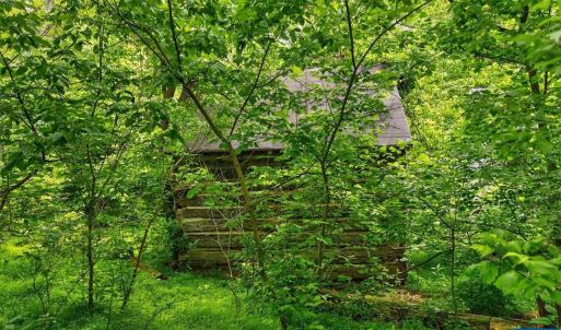 Photo #10 of 258 STRICKLER LN, NEW MARKET, VA 1.7 acres