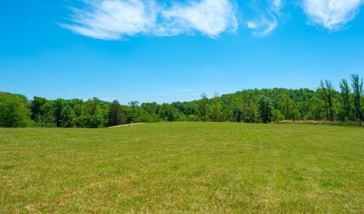 Photo #11 of BOONESVILLE RD, FREE UNION, VA 9.1 acres