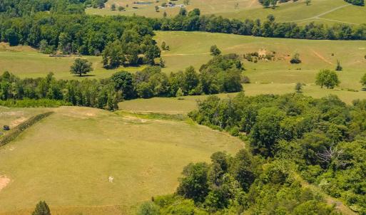 Photo #10 of BOONESVILLE RD, FREE UNION, VA 9.1 acres