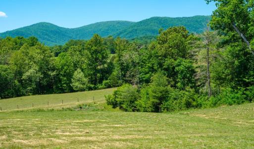Photo #6 of BOONESVILLE RD, FREE UNION, VA 9.1 acres