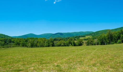 Photo #7 of BOONESVILLE RD, FREE UNION, VA 9.1 acres
