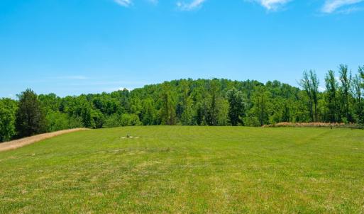 Photo #14 of BOONESVILLE RD, FREE UNION, VA 9.1 acres