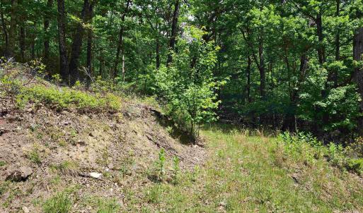 Photo #2 of 39V HIGH VALLEY DR, MONTEREY, VA 5.0 acres