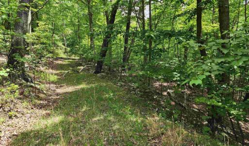 Photo #3 of 39V HIGH VALLEY DR, MONTEREY, VA 5.0 acres