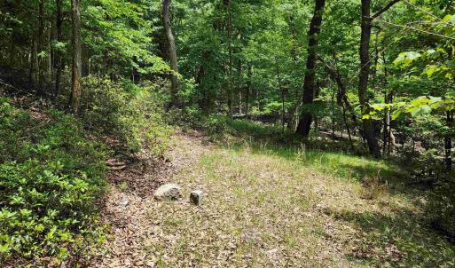 Photo #4 of 39V HIGH VALLEY DR, MONTEREY, VA 5.0 acres
