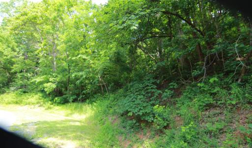Photo #1 of 1757 BLACK WALNUT DR, NELLYSFORD, VA 4.1 acres
