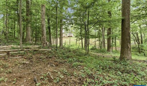Photo #10 of 615 HALF MILE BRANCH RD, CROZET, VA 5.0 acres
