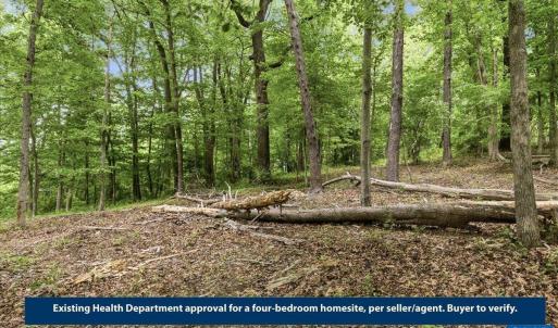 Photo #15 of 615 HALF MILE BRANCH RD, CROZET, VA 5.0 acres