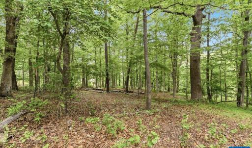 Photo #11 of 615 HALF MILE BRANCH RD, CROZET, VA 5.0 acres