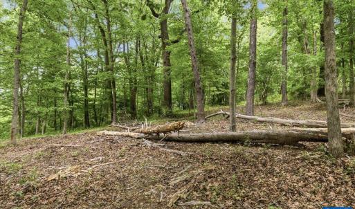 Photo #9 of 615 HALF MILE BRANCH RD, CROZET, VA 5.0 acres