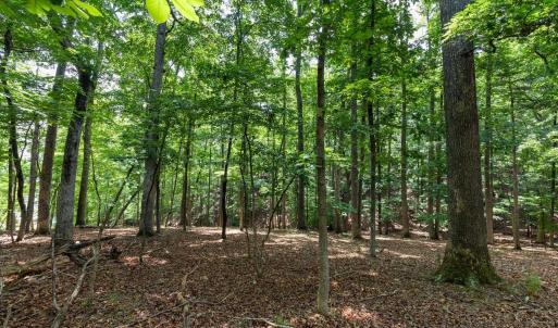 Photo #18 of 31 FAIRWOOD PL, PALMYRA, VA 1.4 acres