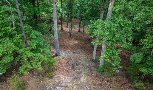 Photo #13 of 31 FAIRWOOD PL, PALMYRA, VA 1.4 acres