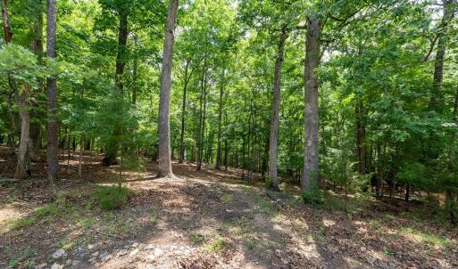 Photo #15 of 31 FAIRWOOD PL, PALMYRA, VA 1.4 acres