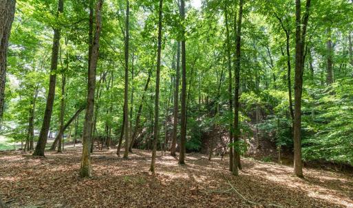 Photo #19 of 31 FAIRWOOD PL, PALMYRA, VA 1.4 acres