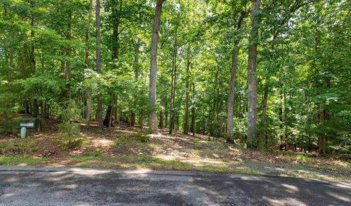 Photo #14 of 31 FAIRWOOD PL, PALMYRA, VA 1.4 acres
