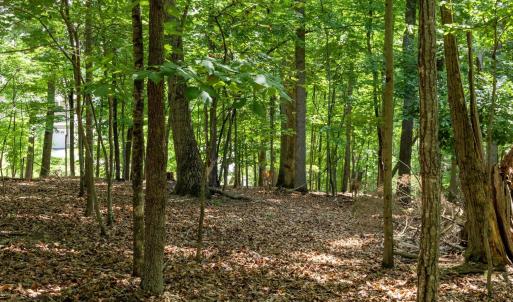 Photo #17 of 31 FAIRWOOD PL, PALMYRA, VA 1.4 acres