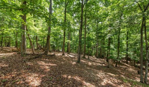 Photo #16 of 31 FAIRWOOD PL, PALMYRA, VA 1.4 acres