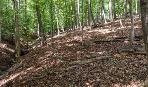 Photo #25 of 31 FAIRWOOD PL, PALMYRA, VA 1.4 acres