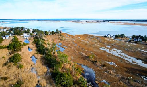 Photo #6 of PINE TREE WAY, CHINCOTEAGUE, VA 0.3 acres