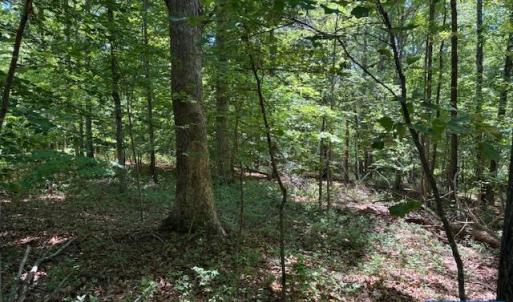 Photo #2 of OAKMONT DR, GORDONSVILLE, VA 1.0 acres