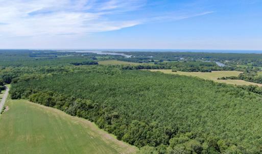 Photo #14 of Boston NONE, PAINTER, VA 193.7 acres