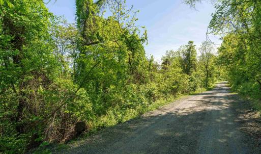 Photo #2 of Lot E BROKENBACK MOUNTAIN RD, DYKE, VA 22.0 acres