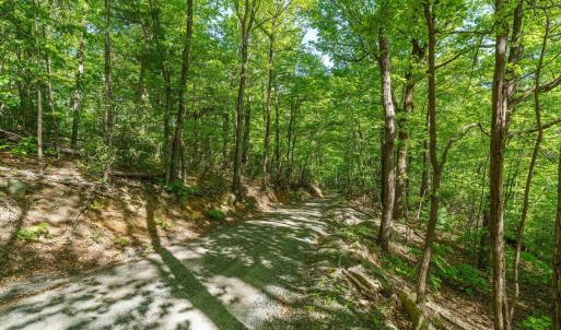Photo #13 of Lot A BROKENBACK MOUNTAIN RD, DYKE, VA 23.3 acres