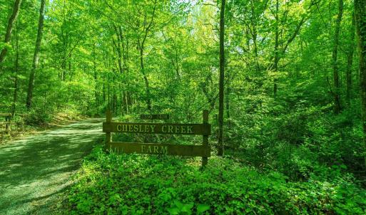 Photo #4 of Lot A BROKENBACK MOUNTAIN RD, DYKE, VA 23.3 acres