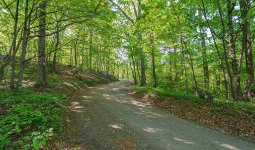 Photo #12 of Lot A BROKENBACK MOUNTAIN RD, DYKE, VA 23.3 acres