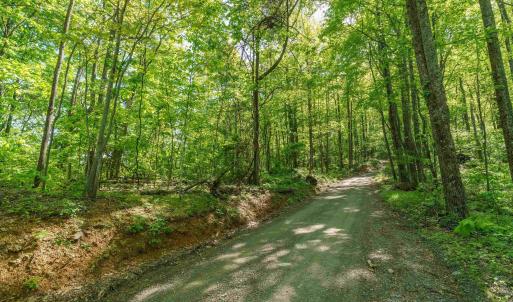 Photo #11 of Lot A BROKENBACK MOUNTAIN RD, DYKE, VA 23.3 acres